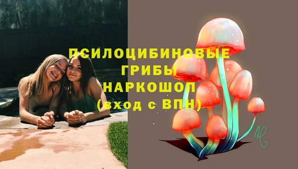 твердый Яранск