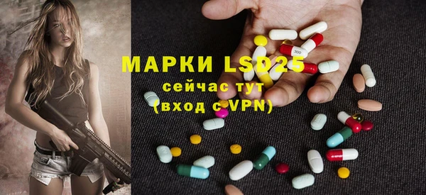 спиды Яровое