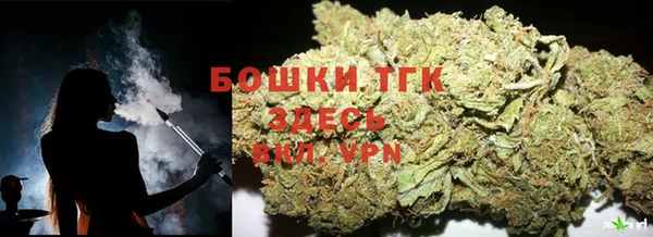 спиды Яровое