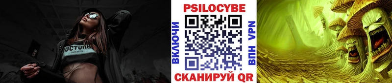 купить наркотик  это телеграм  Галлюциногенные грибы Psilocybe  Невинномысск 