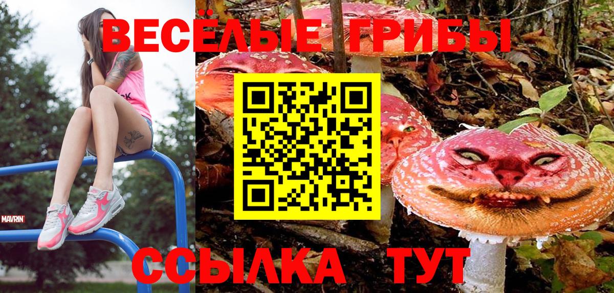 Невинномысск  Галлюциногенные грибы мухоморы  наркошоп  Вход с VPN 