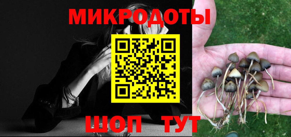 Галлюциногенные грибы Magic Shrooms  наркота  Невинномысск  Псилоцибиновые грибы Magic Shrooms 