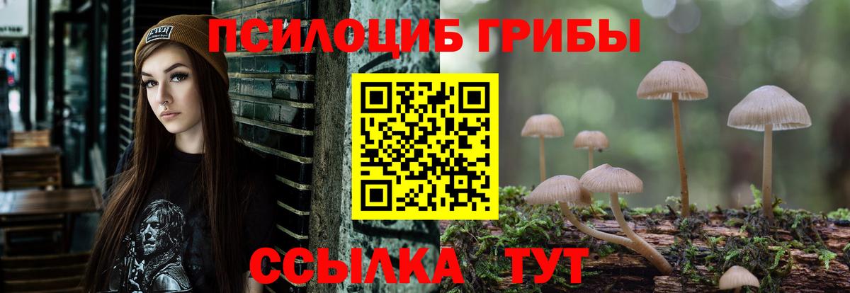 Галлюциногенные грибы Cubensis Невинномысск